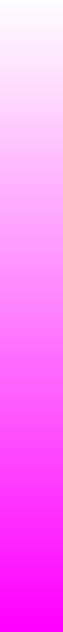 Ws Gradient Fuchsia