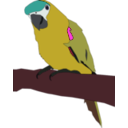 download Parrot clipart image with 315 hue color