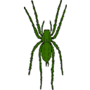 download Brown Spider clipart image with 45 hue color