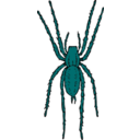 download Brown Spider clipart image with 135 hue color