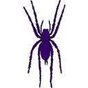 download Brown Spider clipart image with 225 hue color