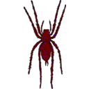 download Brown Spider clipart image with 315 hue color