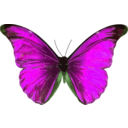 download Morpho Rhetenor clipart image with 90 hue color