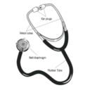 download 58294main The Brain In Space Page 127 Stethoscope With Labels clipart image with 180 hue color