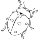 download Ladybug Line Art clipart image with 180 hue color