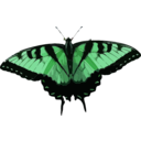 download Papilio Glaucus clipart image with 90 hue color