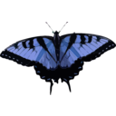 download Papilio Glaucus clipart image with 180 hue color