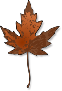 Maple Leaf