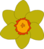 Flower1