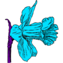 download Daffodil clipart image with 135 hue color