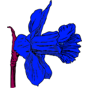 download Daffodil clipart image with 180 hue color