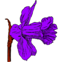 download Daffodil clipart image with 225 hue color