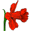 download Daffodil clipart image with 315 hue color