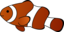 Anemonenfisch