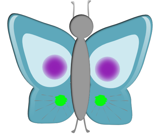 Mariposa Butterfly