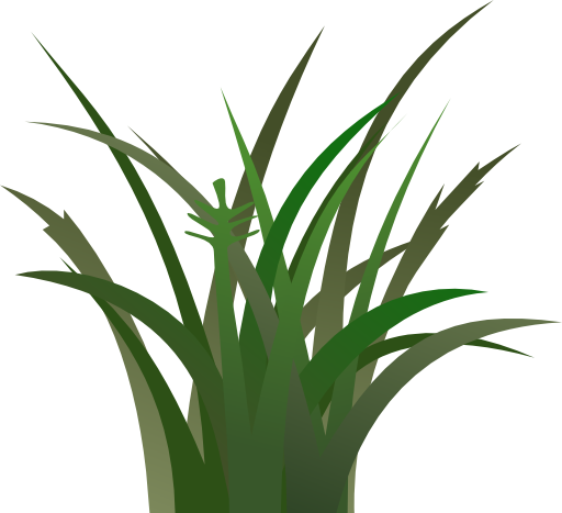 Dark Grass