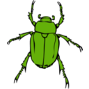 download Chafer Bug clipart image with 45 hue color