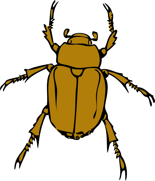 Chafer Bug