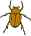 Chafer Bug