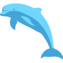 Delphin Delfin Dolphin