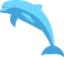 Delphin Delfin Dolphin