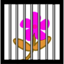 download Flower Behind Bars clipart image with 270 hue color