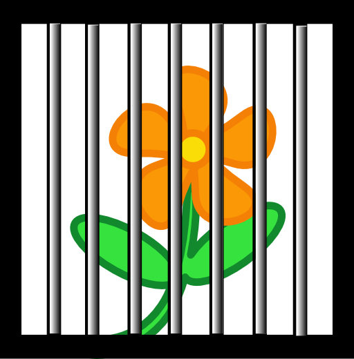 Flower Behind Bars