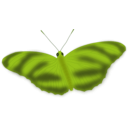 download An Ethereal Butterfly clipart image with 45 hue color