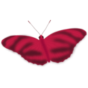 download An Ethereal Butterfly clipart image with 315 hue color