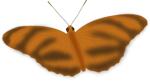 An Ethereal Butterfly
