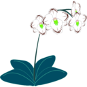 download Orchid clipart image with 45 hue color