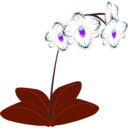 download Orchid clipart image with 225 hue color