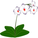 download Orchid clipart image with 315 hue color