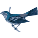 download Carpodacus Trifasciatus clipart image with 180 hue color