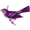 download Carpodacus Trifasciatus clipart image with 270 hue color