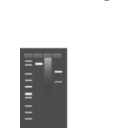 download Agarose Gel clipart image with 135 hue color