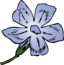 Periwinkle