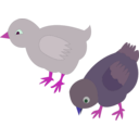 download Chickens 002 Figure Color clipart image with 270 hue color