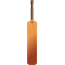 Cricket Bat