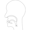 Midsagittal M Voiced Bilabial Nasal