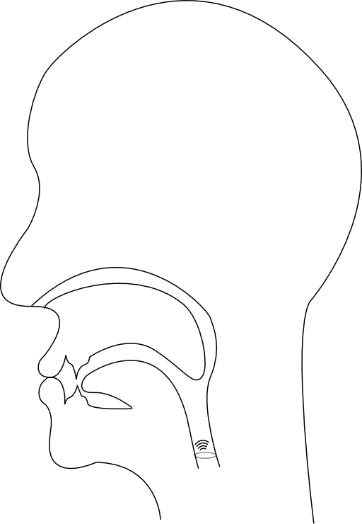 Midsagittal M Voiced Bilabial Nasal