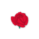 Red Rose