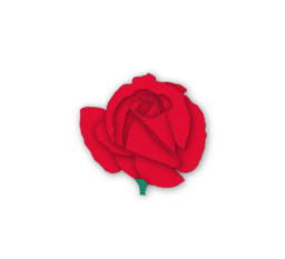 Red Rose