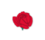 Red Rose