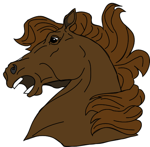 Architetto Cavallo 18
