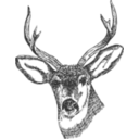 Deer Head