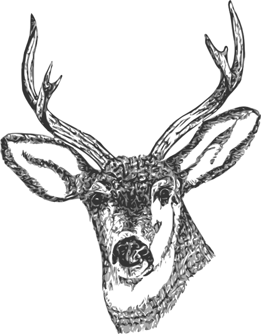 Deer Head