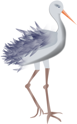 Bird With Legs