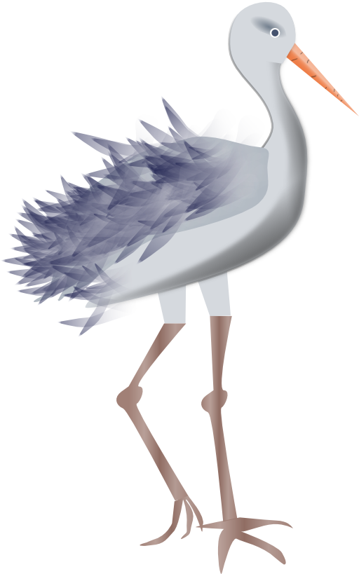 Bird With Legs