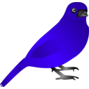 download Bird clipart image with 135 hue color